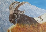 Steinbock, Gemälde in Acrylfarben von der Künstlerin Silvia Bartsch