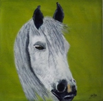 Pferd, Acryl, Atelier Silvia Bartsch