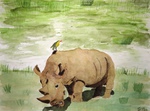 Nashorn, Aquarell, Silvia Bartsch