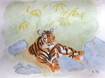 Tiger, Aquarell, Silvia Bartsch