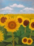 Sonnenblumen, Blüten, Pastell, Silvia Bartsch