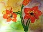 Amaryllis, Aquarell, Silvia Bartsch, SiBa