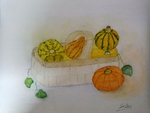 Kürbisse, Aquarelle, Atelier, Kunst, Silvia Bartsch