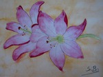 Lilien, Blumen, Aquarell, Silvia Bartsch