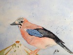 Vögel, Winter, Aquarell, Kunst für jeden
