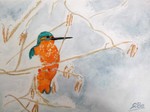Vögel, Winter, Aquarell, Kunst, Silvia Bartsch